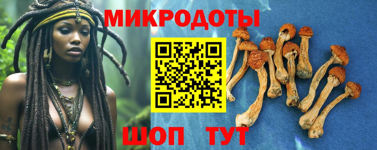 Галлюциногенные грибы мухоморы Валуйки