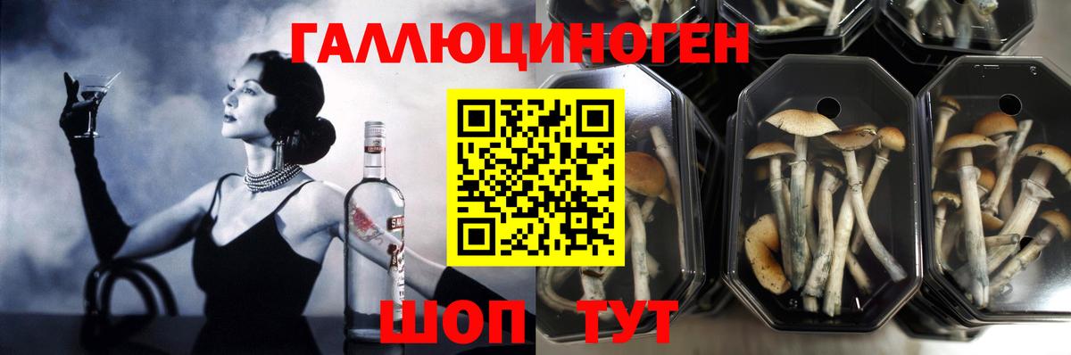 Галлюциногенные грибы Psilocybine cubensis  Вход с VPN  наркотики  Валуйки 